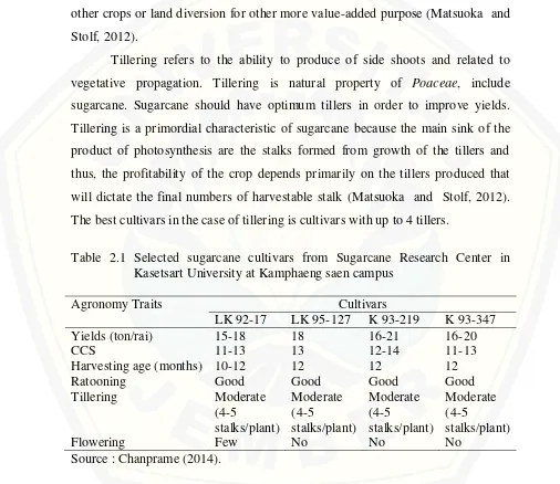 Table 2.1 Selected sugarcane cultivars from Sugarcane Research Center in 