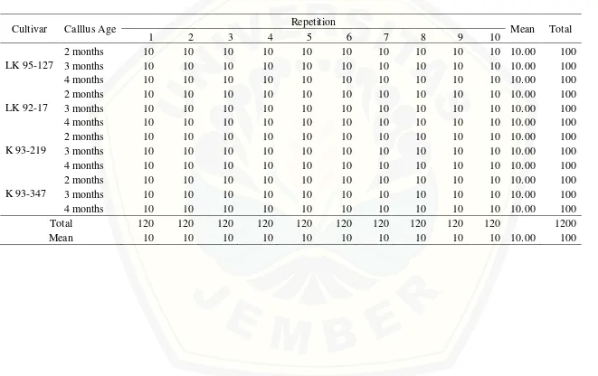 Table 4.  Percentage of  shoot regeneration from various callus ages and cultivars of sugarcane 