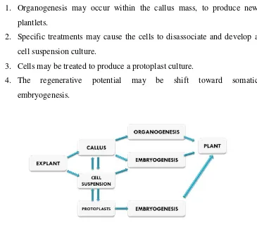 Figure 1: Regeneration pathways in plant tissue culture (Hartmann et al., 1990) 
