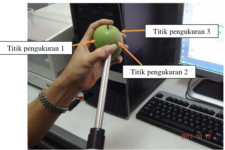 Gambar 9 Pengambilan spektra NIR pada buah mangga gedong. 