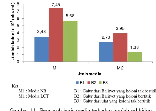 Gambar 11   Pengaruh jenis media terhadap jumlah sel hidup 