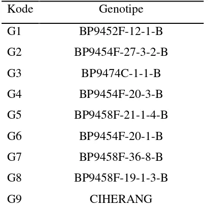 Tabel 3.1  Kode Genotipe Padi 