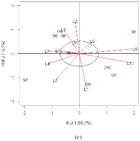 Gambar 4.1 (a)Biplot AMMI2 variabel pengamatan Yield, (b)Biplot AMMI2 