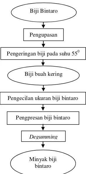 Gambar 16. Diagram alir tahapan pembuatan minyak bintaro 