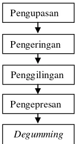 Gambar 19. Biji bintaro 