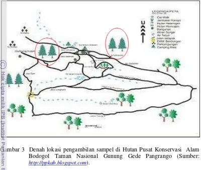 Gambar 3  Denah lokasi pengambilan sampel di Hutan Pusat Konservasi  Alam                  