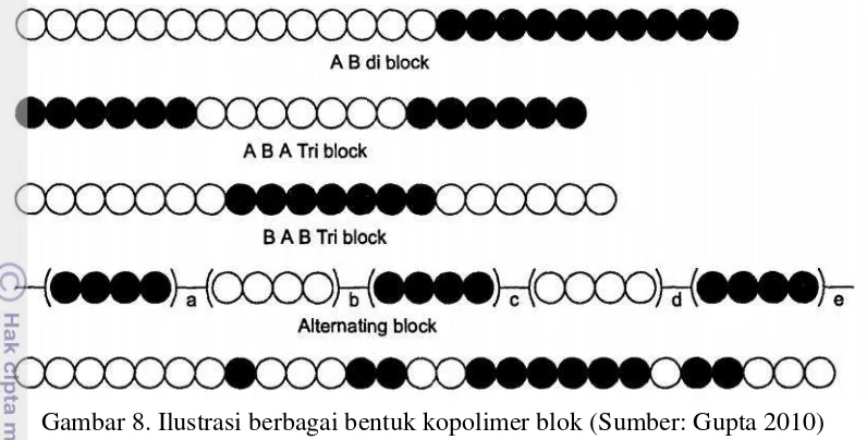 Gambar 9. Ilustrasi kopolimer cangkok (Sumber: Gupta 2010) 