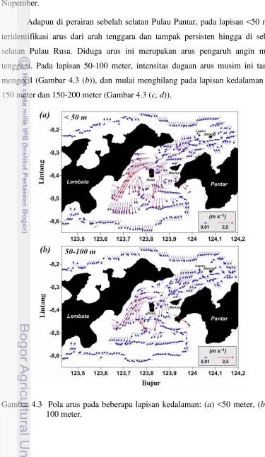 Gambar 4.3  Pola arus pada beberapa lapisan kedalaman: (a) <50 meter, (b) 50-