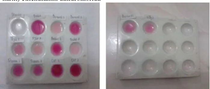 Gambar 4.2Uji Kualitatif Nitrat dengan Penambahan Pereaksi Asam Sulfanilatdan N-(1-naftil) etilendiamin dihidroklorida