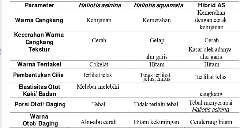 Gambar  15  Pola  pewarisan  karakter  fenotipik  pada  benih  abalon  hibridisasi  dengan jantan Haliotis asinina (AS) 
