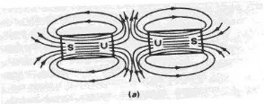 Gambar 1. Kutub-kutub Magnet 