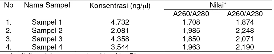 Tabel 1. Kandungan total RNA hasil ekstraksi dari tanaman tebu 