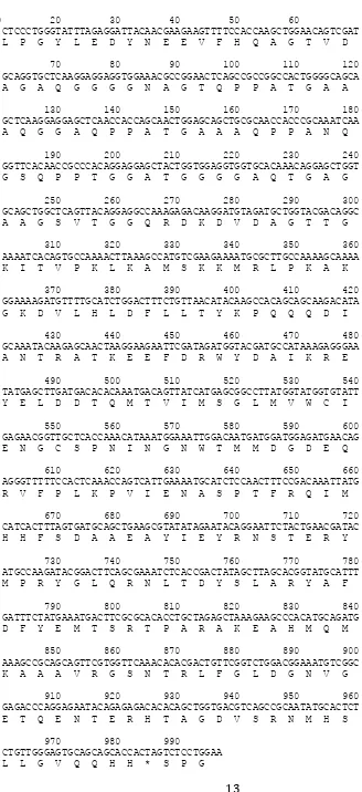 Gambar 2.Urutan nukleotida (sequence) cDNA coat protein dan prediksi urutan asam amino coat protein ScMV isolat Jawa Timur
