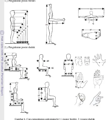 Gambar 6. Cara pengukuran antropometri 1.) posisi berdiri, 2.) posisi duduk 