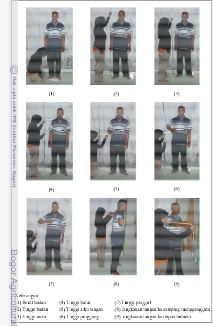 Gambar 11. Pengukuran antropometri posisi berdiri 