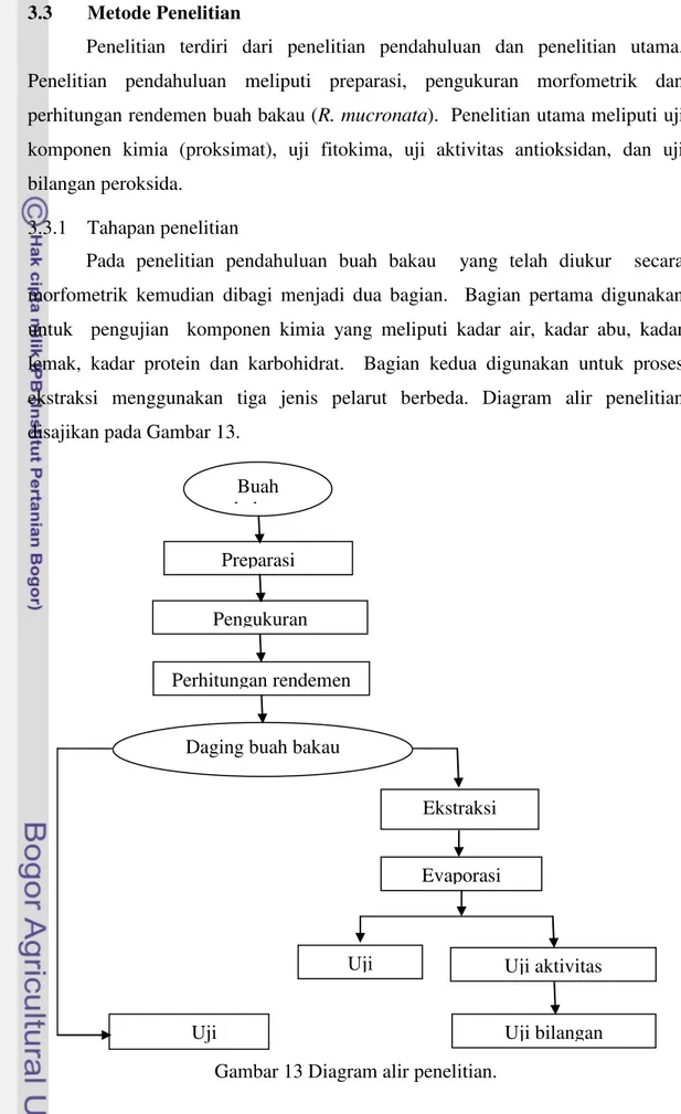 Gambar 13 Diagram alir penelitian. Ekstraksi Uji  Evaporasi   Uji aktivitas  Uji bilangan Uji 