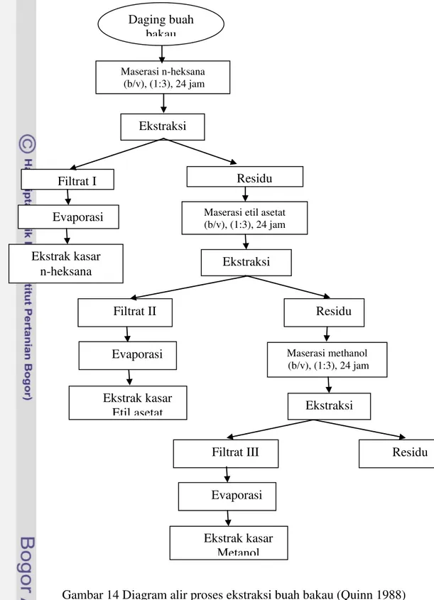Gambar 14 Diagram alir proses ekstraksi buah bakau (Quinn 1988) 