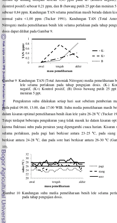 Gambar 9  Kandungan TAN (Total Amoniak Nitrogen) media pemeliharaan benih 