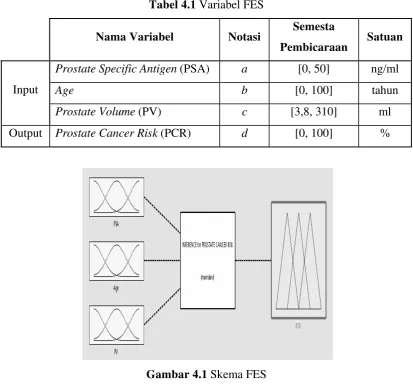Gambar 4.1 Skema FES 