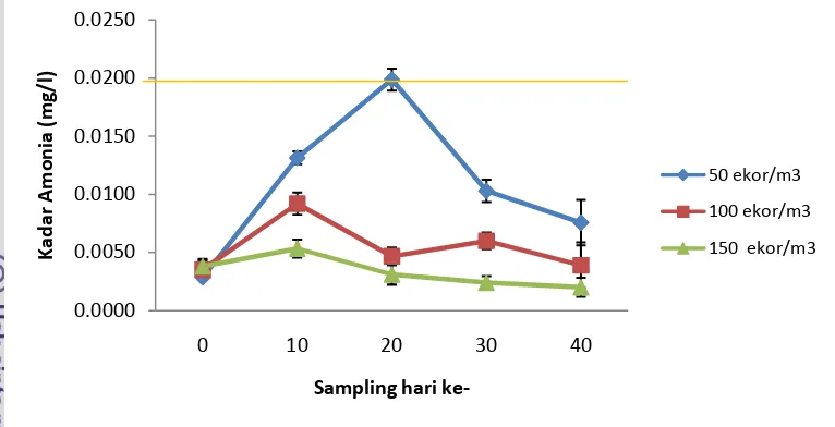 Gambar 4.  Kadar amonia dalam media pemeliharaan ikan nila pada perlakuan P1, 