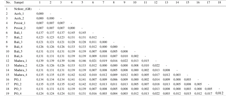 Tabel 6. Jarak Genetik Berdasarkan Metode Pairwise Distance Daerah D-loop Setiap Individu pada Sapi Bali, Sapi Madura dan Sapi PO dengan Sapi B