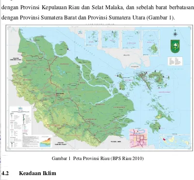 Gambar 1  Peta Provinsi Riau (BPS Riau 2010)  