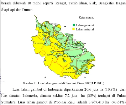 Gambar 2   Luas lahan gambut di Provinsi Riau (BBPPLP 2011)  