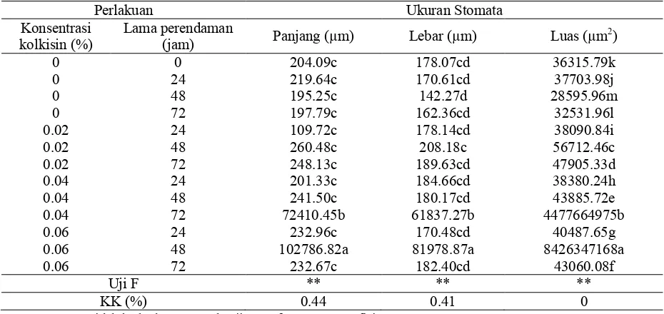 Tabel 4 Interaksi antara tingkat konsentrasi dan lama perendaman terhadap ukuran stomata �����������"�!��� Benth