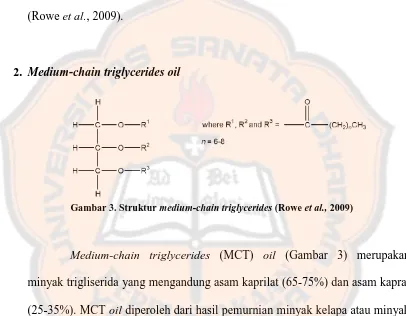 Gambar 3. Struktur medium-chain triglycerides (Rowe et al., 2009) 