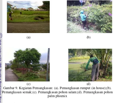 Gambar 9. Kegiatan Pemangkasan: (a). Pemangkasan rumput (in house);(b). 