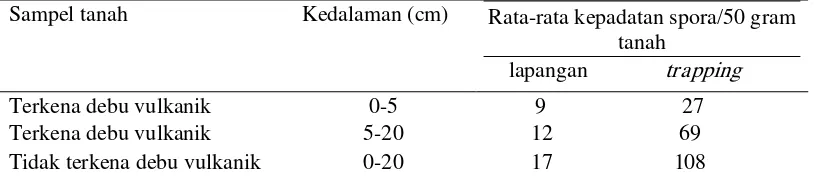 Tabel 3. Kepadatan spora sampel tanah dari lapangan dan hasiltrappingSampel tanah  Kedalaman (cm) 