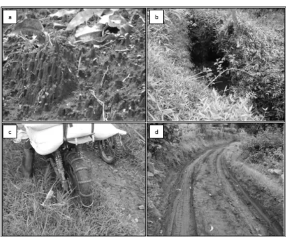 Gambar 10. Persebaran Bahaya Erosi Tanah di Sub DAS Cimanuk Hulu dengan Metode Pemetaan Cepat (Rapid Mapping) 