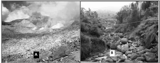 Gambar 4 Curah Hujan di Sub DAS Cimanuk Hulu Tahun 2001-2010  (Sumber : PSDA Jawa Barat, Dinas UPTD Kehutanan Bayongbong)  