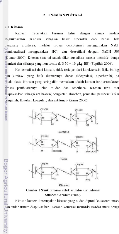 Gambar 1 Struktur kimia selulosa, kitin, dan kitosan 