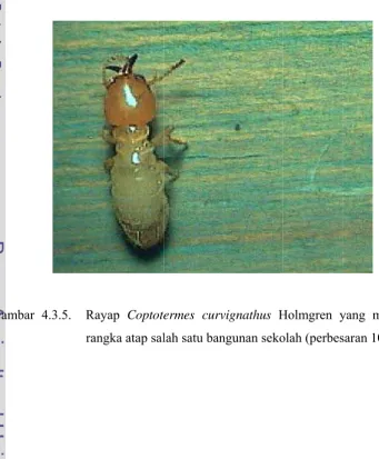 Gambar 4.3.4G