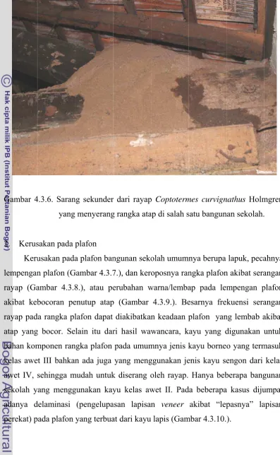 Gambar 4.3.77.), dan keroposnya ran