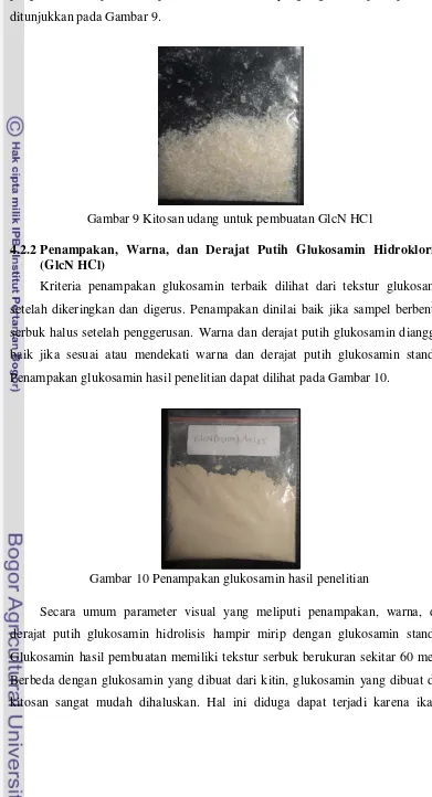 Gambar 9 Kitosan udang untuk pembuatan GlcN HCl 