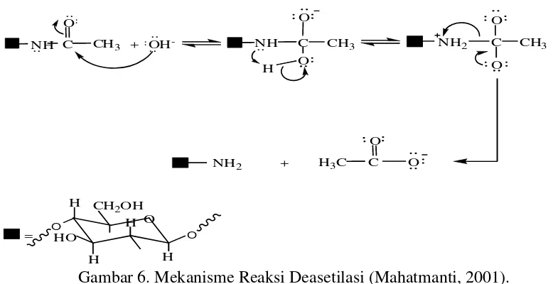 Gambar 6. Mekanisme Reaksi Deasetilasi (Mahatmanti, 2001). 