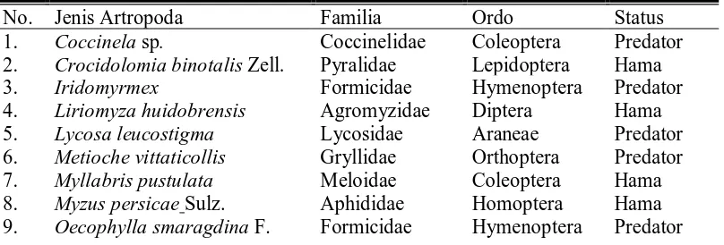 Tabel 6. Jenis Artropoda yang ditemukan beserta statusnya pada ketinggian tempat 1473 mdpl dengan sistem tumpangsari dengan caisin 