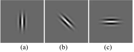 Gambar 2.6 Filter gabor dengan nilai-nilai λ dari 5 (a), 10 (b) dan 15 (c) dengan =0, 