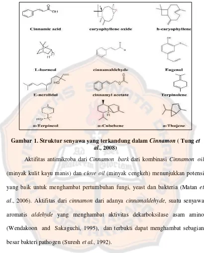 Gambar 1. Struktur senyawa yang terkandung dalam Cinnamon ( Tung et al