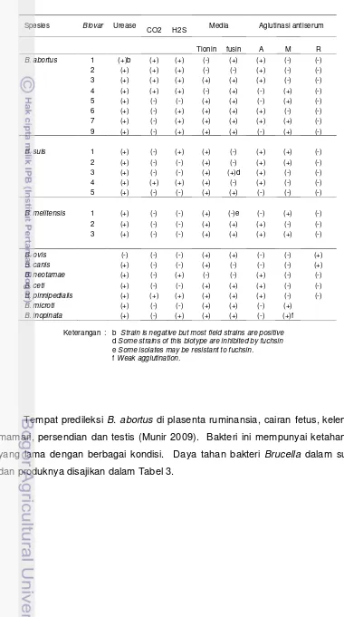 Tabel 2 Karakteristik biovar dan spesies dalam genus Brucella spp.                             (Whatmore 2009)