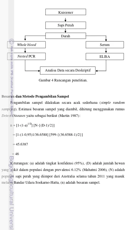 Gambar 4 Rancangan penelitian. 