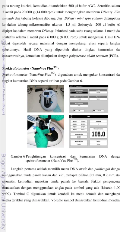 Gambar 6 Penghitungan 