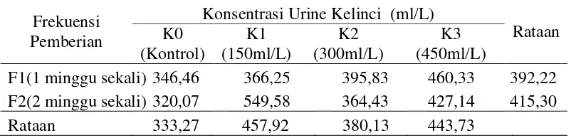 Tabel 6. Rataan berat buah per tanaman (g) pada konsentrasi urine kelinci dan frekuensi pemberian urine kelinci 