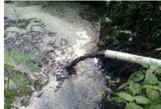 Gambar 9. Aplikasi limbah cair pabrik kelapa sawit (palm oil mill effluent-POME) di parit-parit yang telah disediakan  