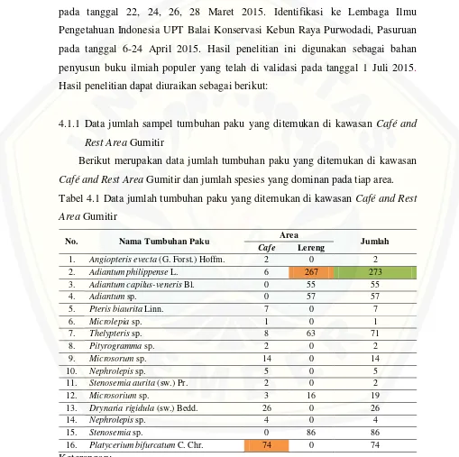 Tabel 4.1 Data jumlah tumbuhan paku yang ditemukan di kawasan Café and Rest 
