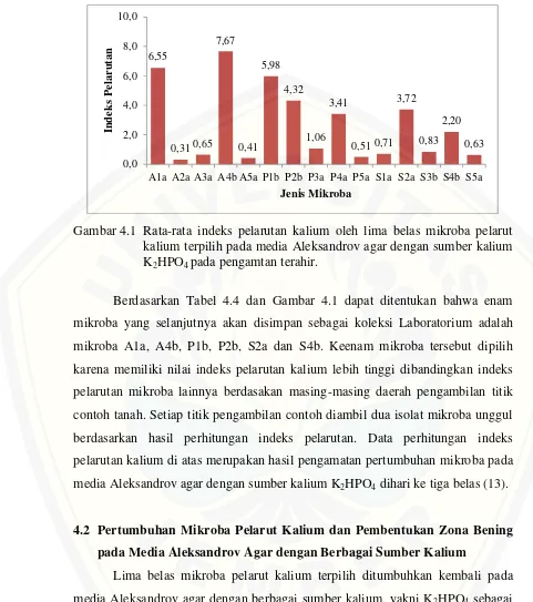 Gambar 4.1 Rata-rata indeks pelarutan kalium oleh lima belas mikroba pelarut