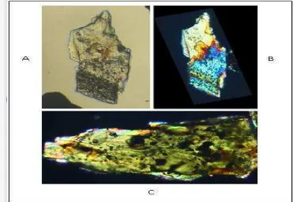 Gambar 1. Fotomicrograph dari mineral Plagioklas (gambar atas A dan B) dan mineral Augit 