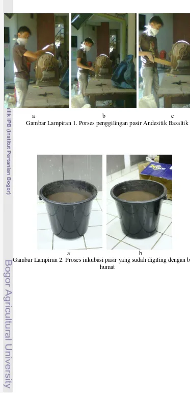 Gambar Lampiran 2. Proses inkubasi pasir yang sudah digiling dengan bahan 